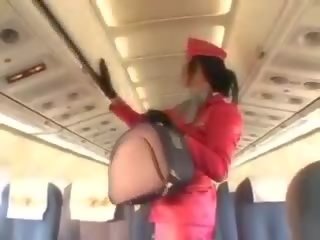 Desirable стюардеса смучене кур преди кунилингус